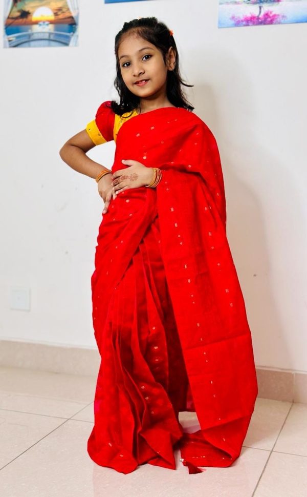 Ready saree (Code 22)
