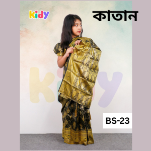 ready saree (bs 21) (copy)